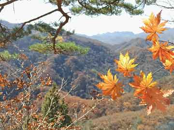 马营村民委员会最新人事任命，塑造未来，引领发展的领导力量，马营村民委员会人事任命揭晓，引领发展的领导力量塑造未来